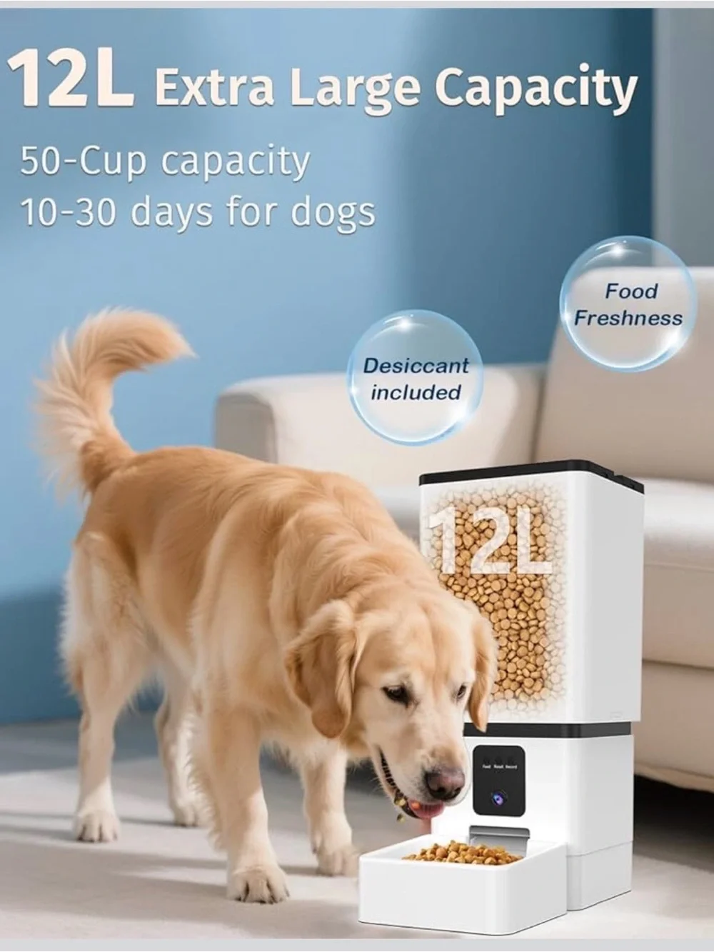 N/A automatic dog